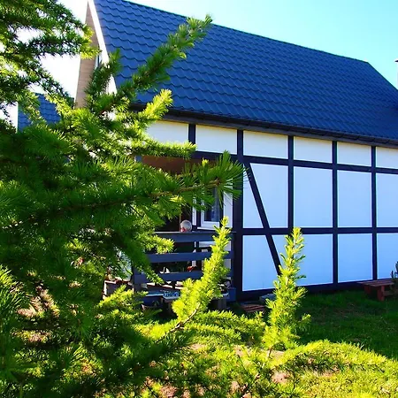 Przystanek Lato Проживание в семье