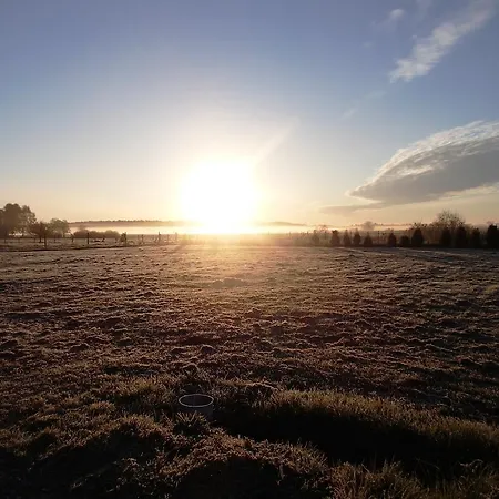 Проживание в семье Przystanek Lato *