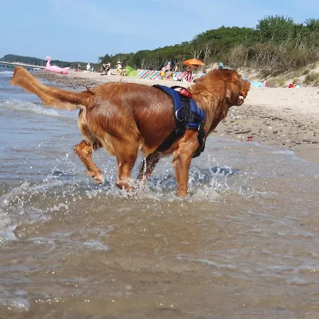 Privat bolig Przystanek Lato Jarosławiec