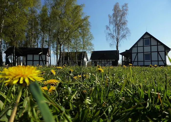 Przystanek Lato Проживание в семье *