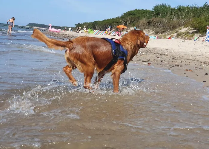 منزل للإقامة Przystanek Lato ياروسوافيتس